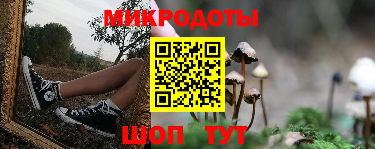 Пенза  Псилоцибиновые грибы мухоморы  Псилоцибиновые грибы ЛСД  Вход с VPN 