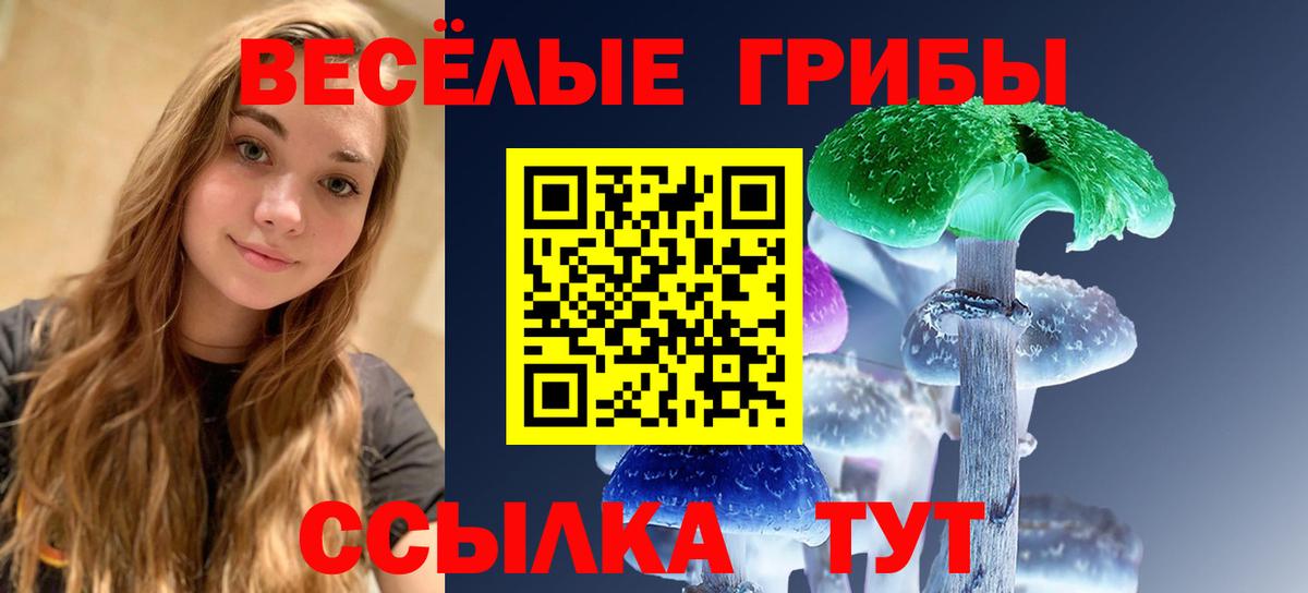 Галлюциногенные грибы мицелий Пенза